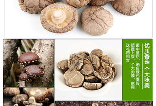 福建特產富農園香菇 匠心臻選，品味山野之鮮