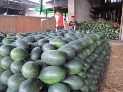 農產品質量安全十大謠言全解析 食用農產品批發市場真相揭秘